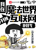 我在魔法世界开创互联网时代