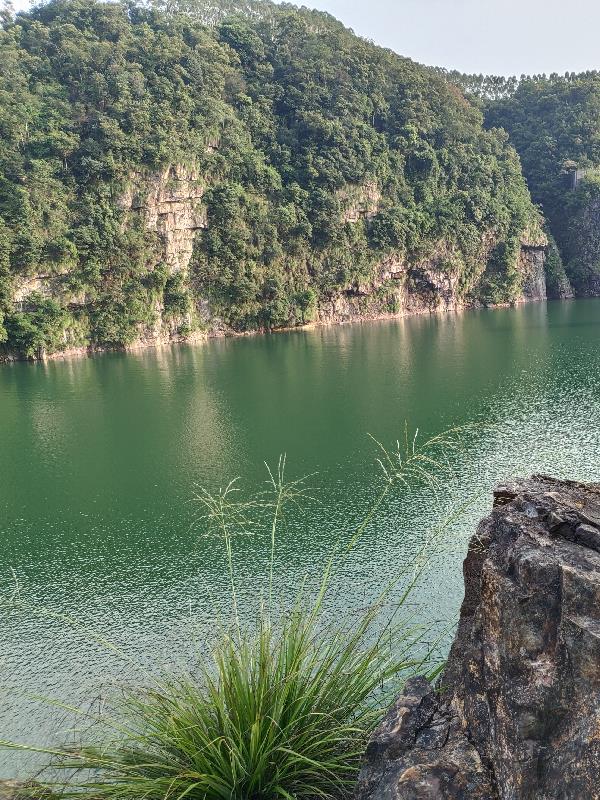 我在吞噬教学就变强